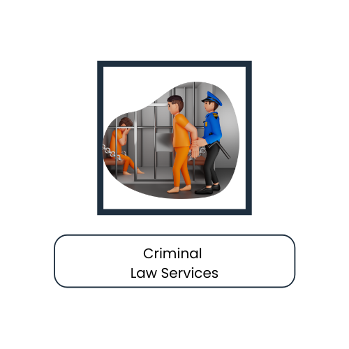 Criminal Law Services